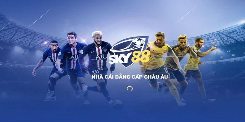 Tổng quan về đơn vị quản lý nền tảng game cá cược Sky88